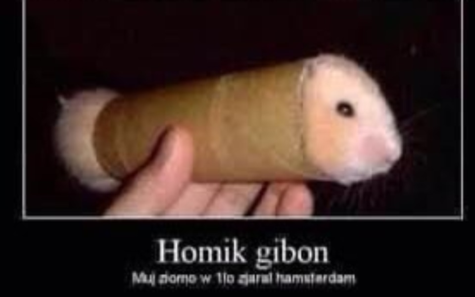 
        Zbiórka Picccerk u turka - zdjęcie główne
    