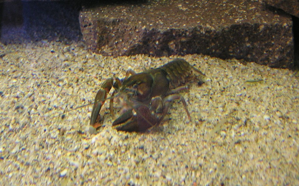 
        Zbiórka maja hot 19 - zdjęcie główne
    