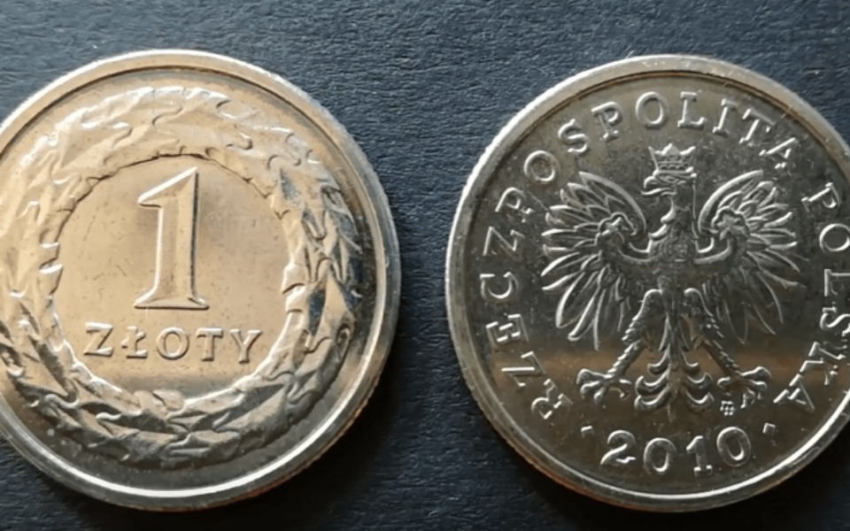 
        Zbiórka Zrzutka po 1 zł na prawko ce - zdjęcie główne
    