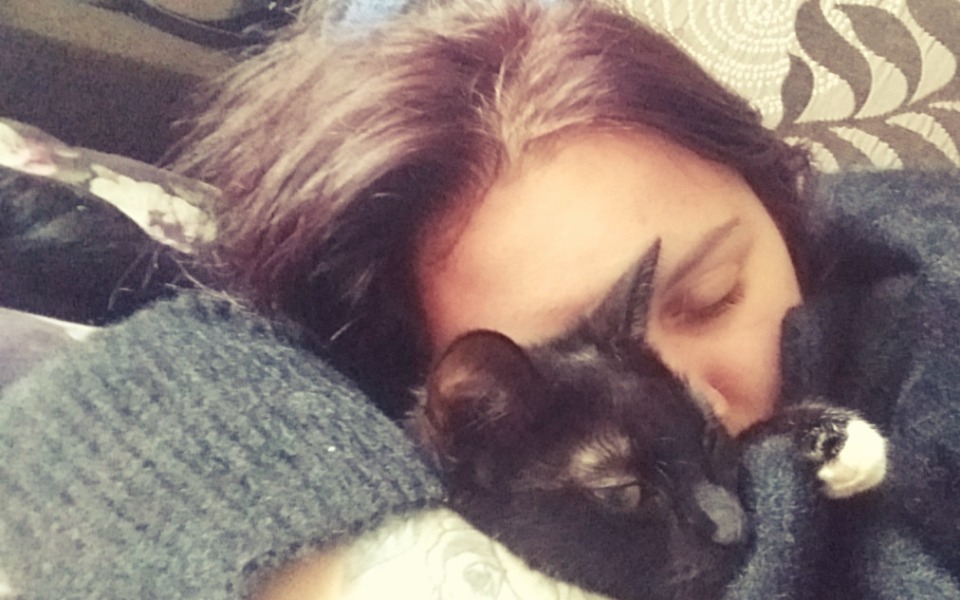 
        Zbiórka Krawiecka kariera kociary - zdjęcie główne
    