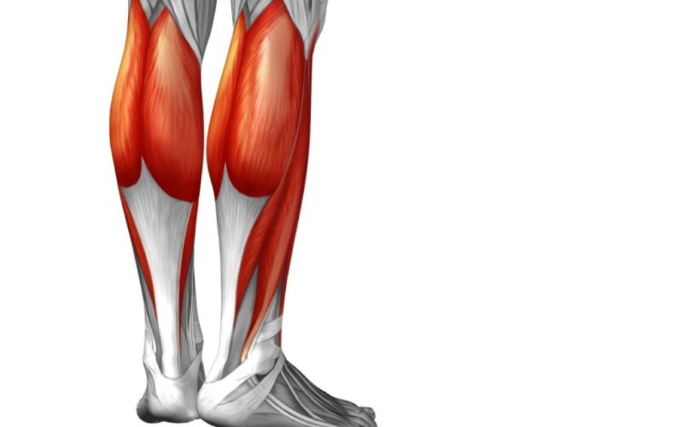 
        Zbiórka Na operacje rozciągnięcia mięśni - zdjęcie główne
    