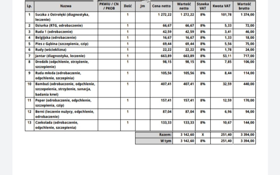 Zbiórka Ogromna faktura za weta, pomocy - zdjęcie główne