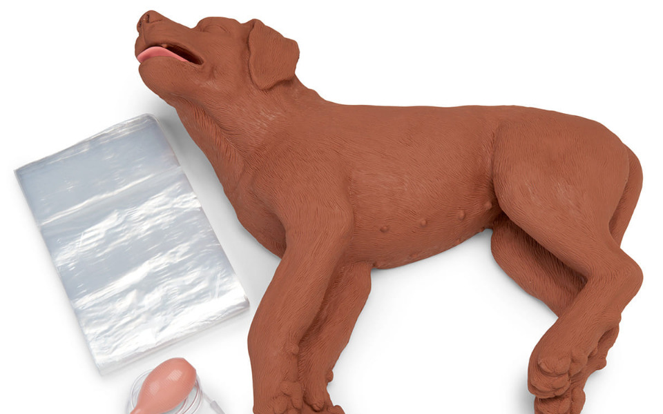 
        Zbiórka Psi fantom do ćwiczeń RKO - zdjęcie główne
    