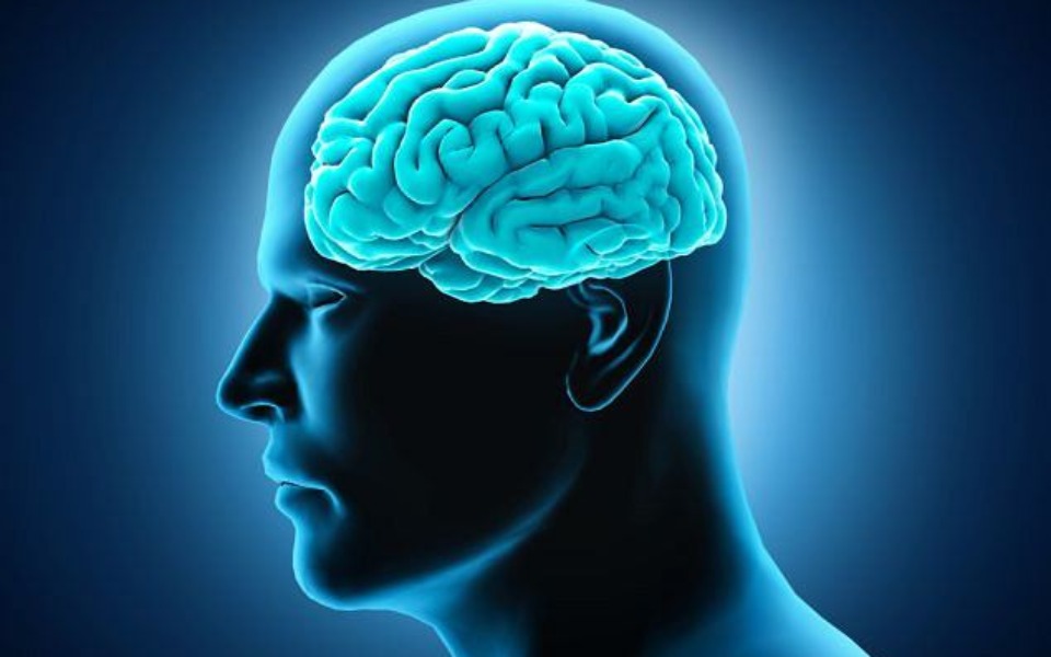 
        Zbiórka Na mózg dla fortnite kidów - zdjęcie główne
    