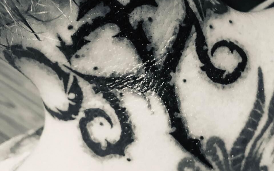 
        Zbiórka Tatuaze duszy - zdjęcie główne
    