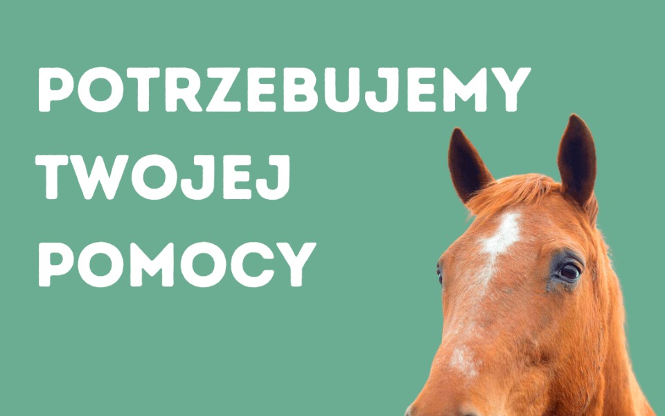 
        Zbiórka Potrzebujemy twojej pomocy - zdjęcie główne
    
