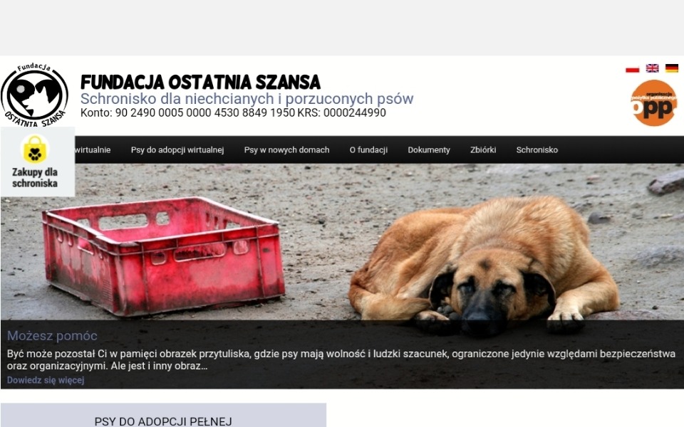 
        Zbiórka Pomagamy niechcianym pieskom - zdjęcie główne
    