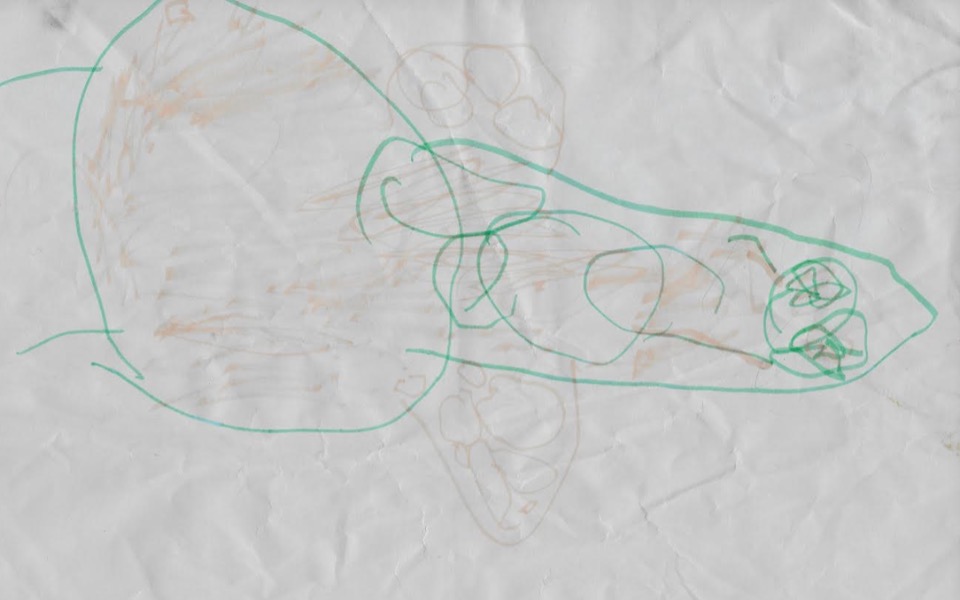 Zbiórka Pomoc dla molestowanego chłopca - zdjęcie główne