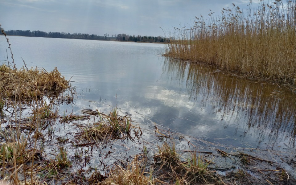 
        Zbiórka Na Mcdonalda - zdjęcie główne
    