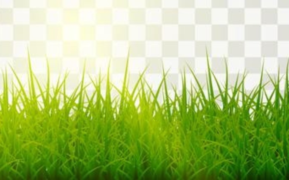 
        Zbiórka Drzwi dla Ameli Krupy d - zdjęcie główne
    