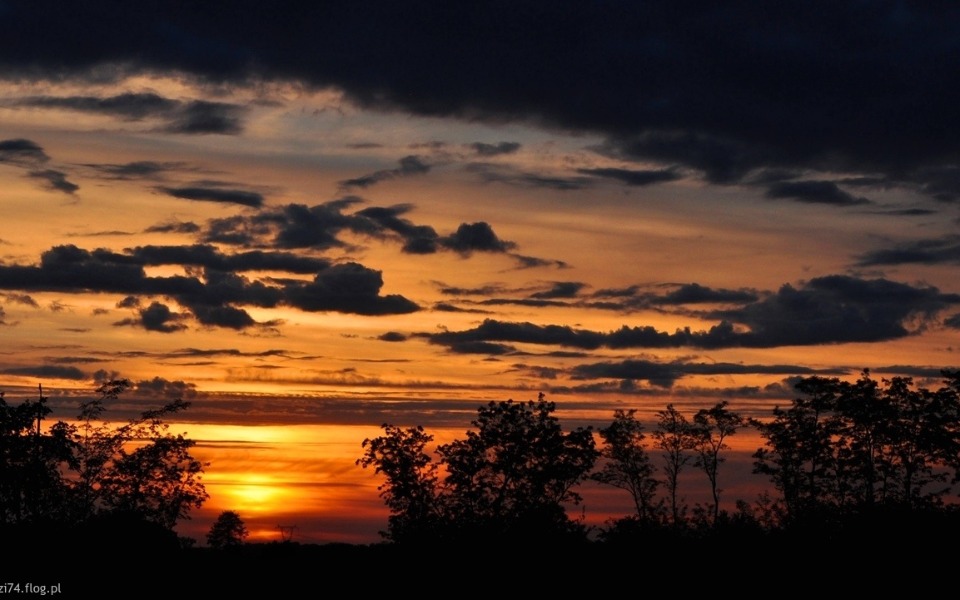 
        Zbiórka Dla Pomagania Biednym - zdjęcie główne
    