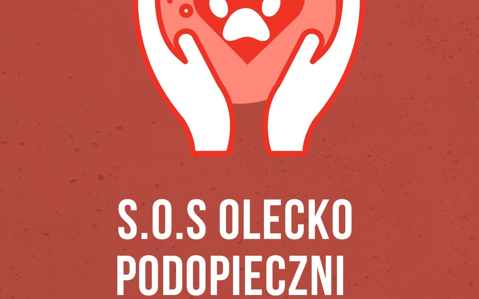 
        Zbiórka Pomoc Podopiecznym SOS Olecko - zdjęcie główne
    