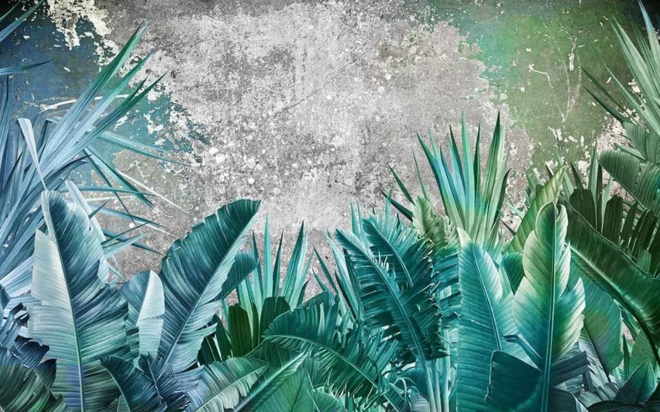 
        Zbiórka CASHh - zdjęcie główne
    