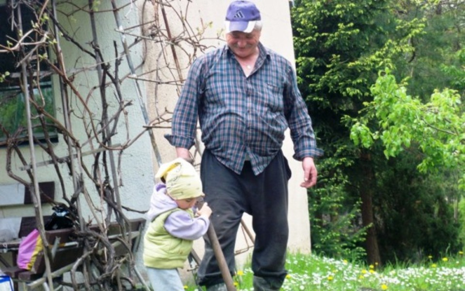 
        Zbiórka Na nową kosiarkę dla dziadka - zdjęcie główne
    