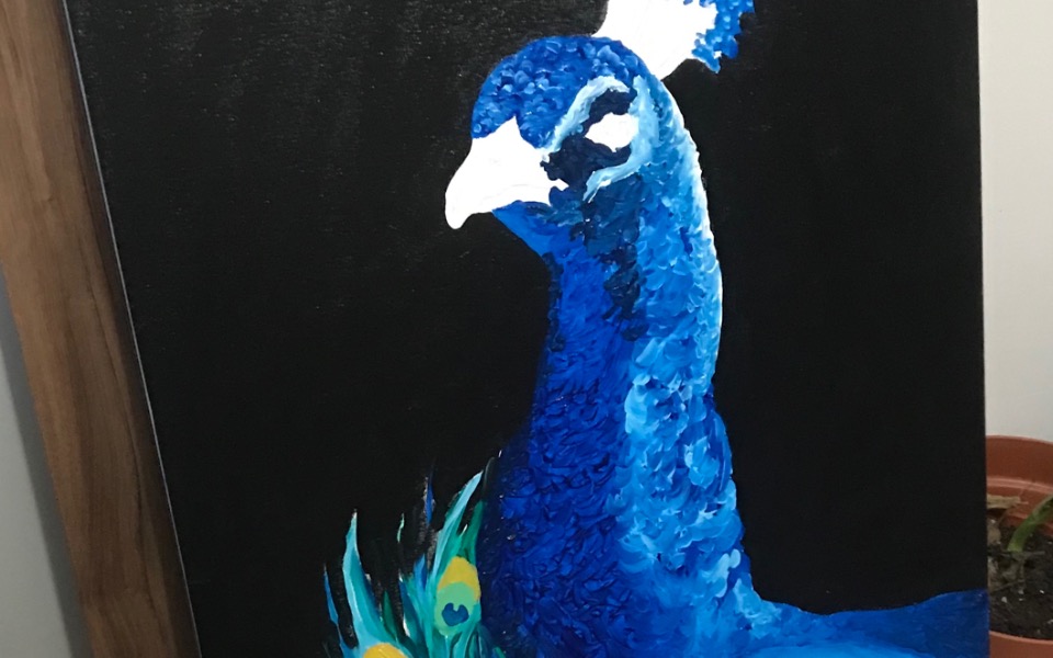 
        Zbiórka Spłata czesnych za studia, obraz - zdjęcie główne
    