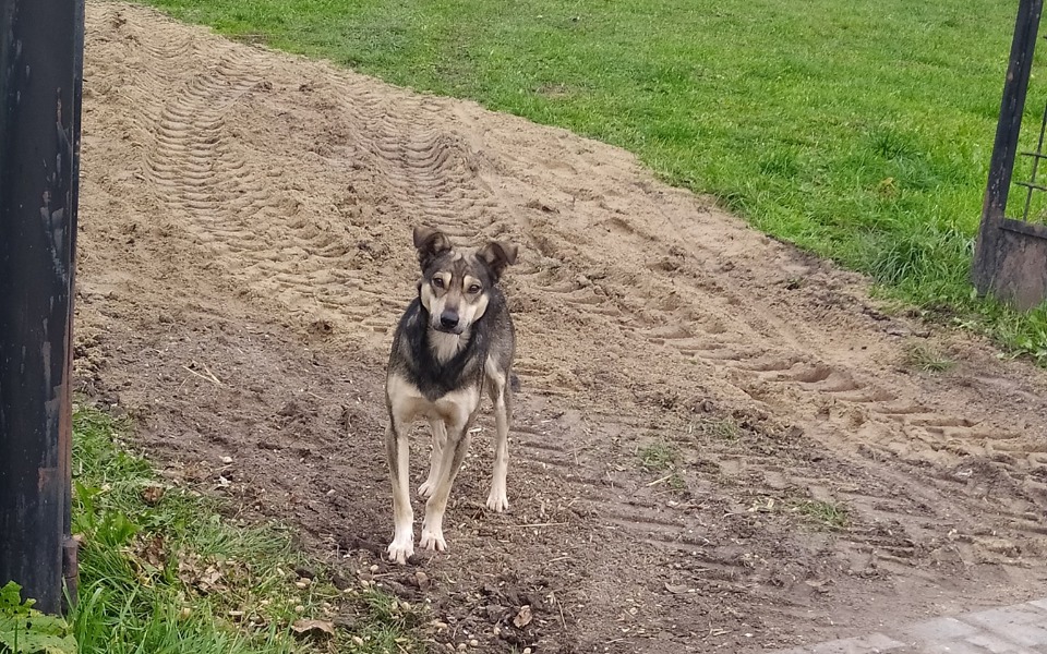 
        Zbiórka To szansa na lepsze życie - zdjęcie główne
    