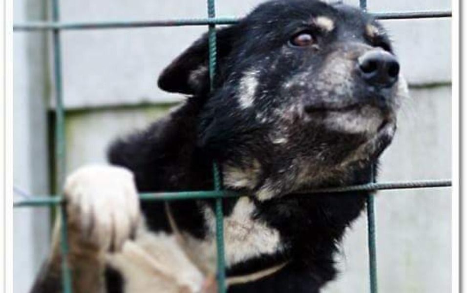 
        Zbiórka Zaznac miłości przed śmiercią - zdjęcie główne
    