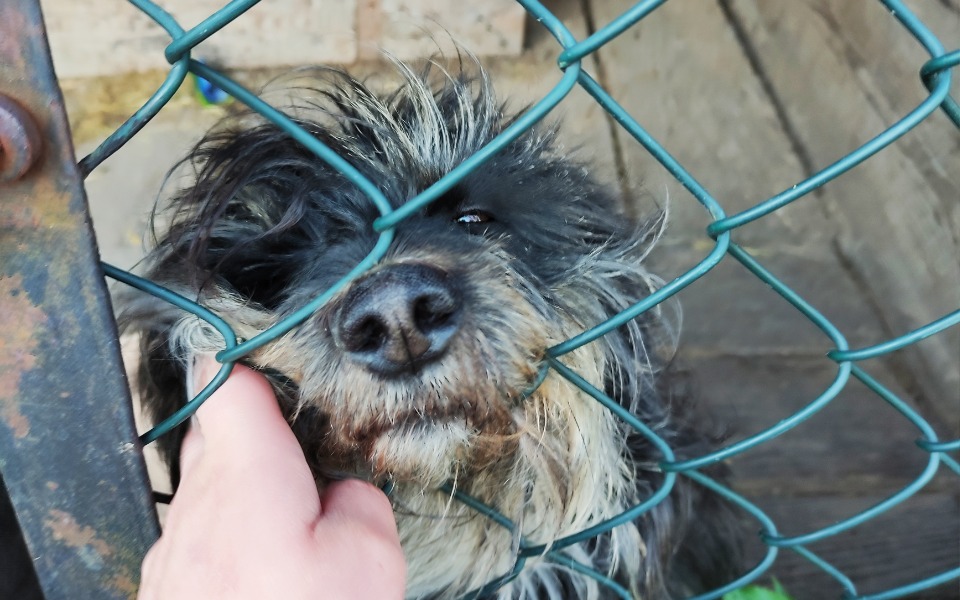 
        Zbiórka Kajtek stracił miłość - zdjęcie główne
    