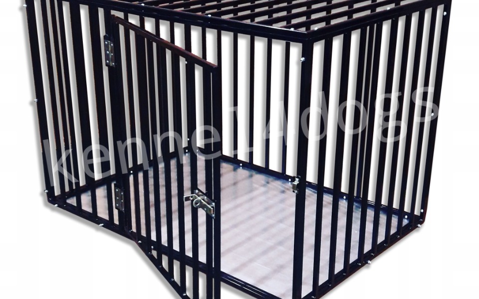 Zbiórka Klatka kennel i nowe życie Dina - zdjęcie główne