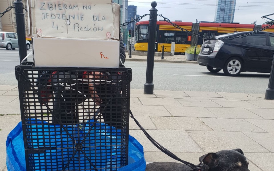 
        Zbiórka Dla Pani Grażynki na karmę i wet - zdjęcie główne
    