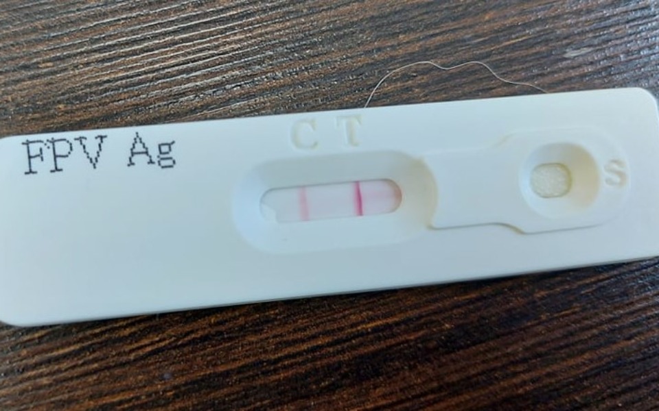 
        Zbiórka Nierówna walka - zdjęcie główne
    