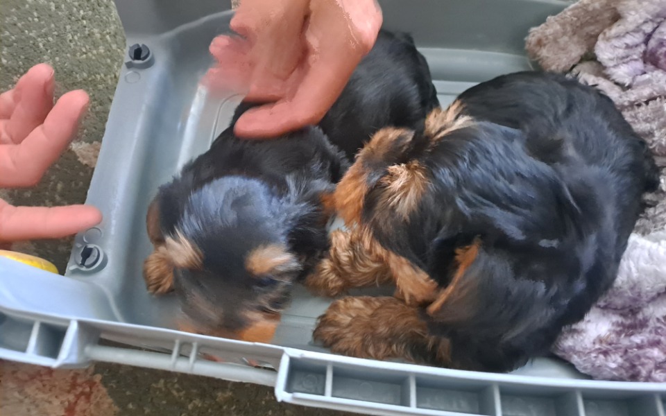 
        Zbiórka Warto pomagać a Bóg odwdzięczy - zdjęcie główne
    