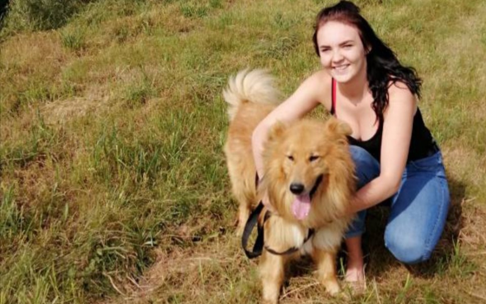 
        Zbiórka Na kojec dla mojego psa Rokiego - zdjęcie główne
    