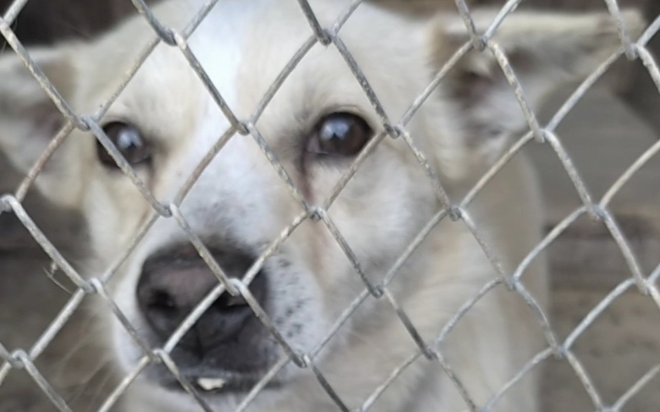 
        Zbiórka Cierpienie i samotność - zdjęcie główne
    