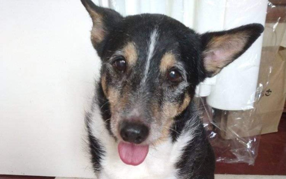 
        Zbiórka Alis - zdjęcie główne
    