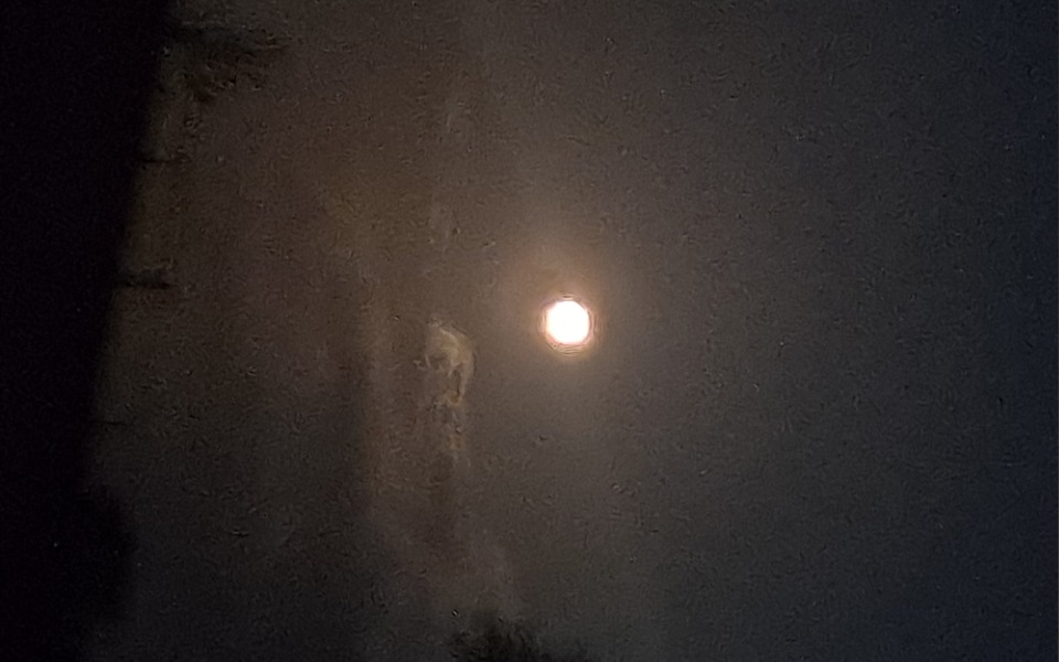 
        Zbiórka Na nowy start wynajem mieszkania - zdjęcie główne
    