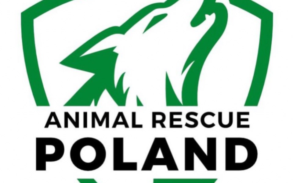 
        Zbiórka Abyśmy mogli pomagać - zdjęcie główne
    