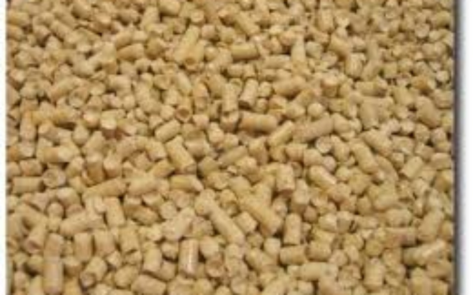 
        Zbiórka Żwir Dla Sharikana - zdjęcie główne
    