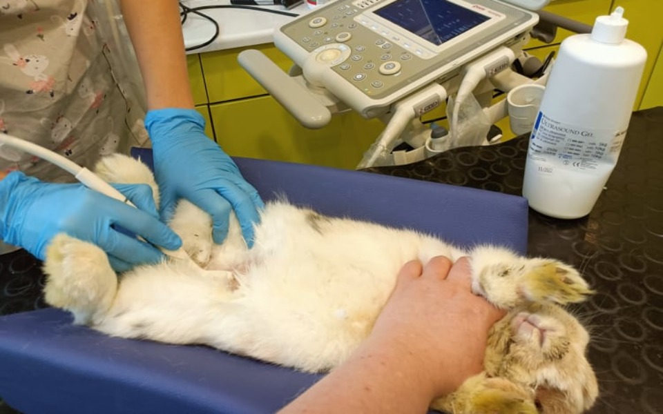 
        Zbiórka Żeby przetrwać i opłacić fakturę - zdjęcie główne
    