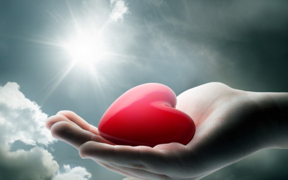 
        Zbiórka Aby zostać mamą... - zdjęcie główne
    