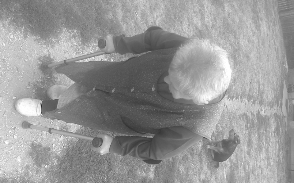 
        Zbiórka Pomoc 82 i 87 letnim kobietom - zdjęcie główne
    