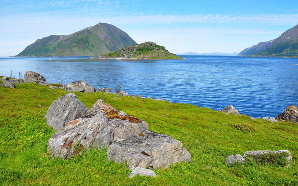 
        Zbiórka Wyprawa na ryby - zdjęcie główne
    