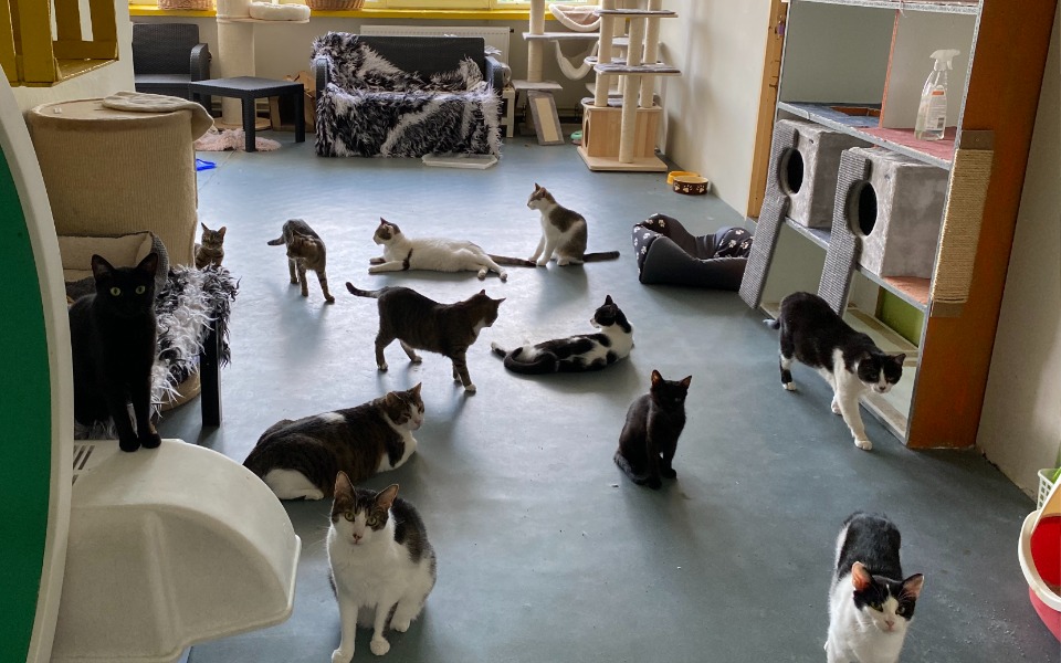 
        Zbiórka Mruczarnia, lipiec - zdjęcie główne
    