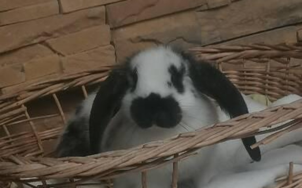 
        Zbiórka Na spełnienie pasji muzycznych - zdjęcie główne
    