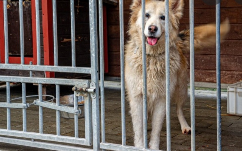 
        Zbiórka Sronisko bytom - zdjęcie główne
    