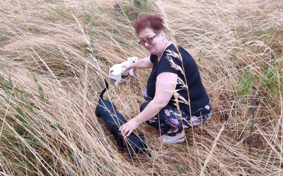 
        Zbiórka Oaza dla osób cierpiących na dep - zdjęcie główne
    