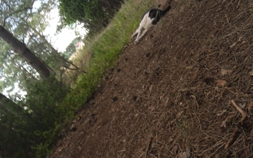 
        Zbiórka Zbieram na mieszkanie właśnie be - zdjęcie główne
    