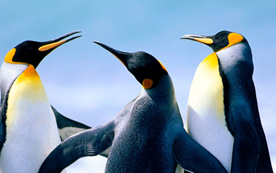 
        Zbiórka Na GOKARTA - zdjęcie główne
    