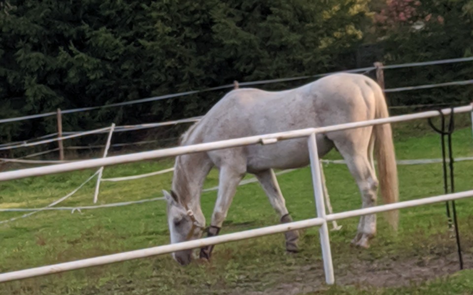 
        Zbiórka Na edukację i rozwój pasji - zdjęcie główne
    