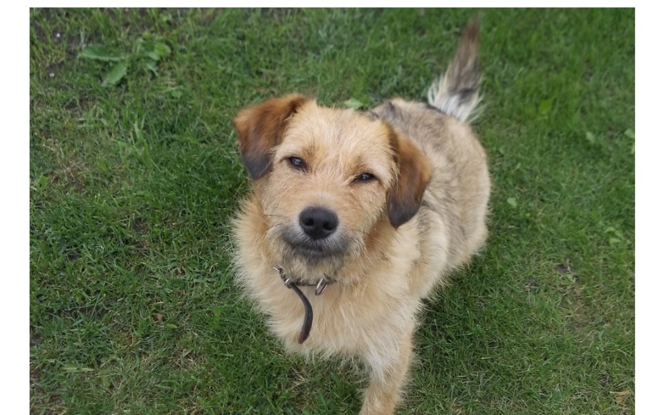 
        Zbiórka Operacja yorkaaa - zdjęcie główne
    