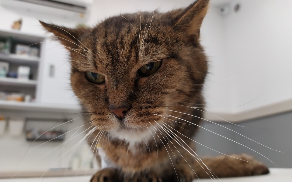 
        Zbiórka Pomoc dla 18-letniego Tigiego - zdjęcie główne
    