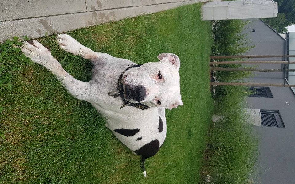 
        Zbiórka Chcę jeszcze żyć - zdjęcie główne
    