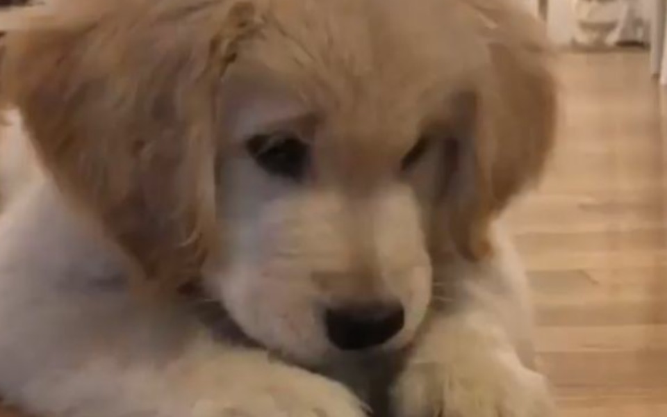 
        Zbiórka Aparatburka - zdjęcie główne
    