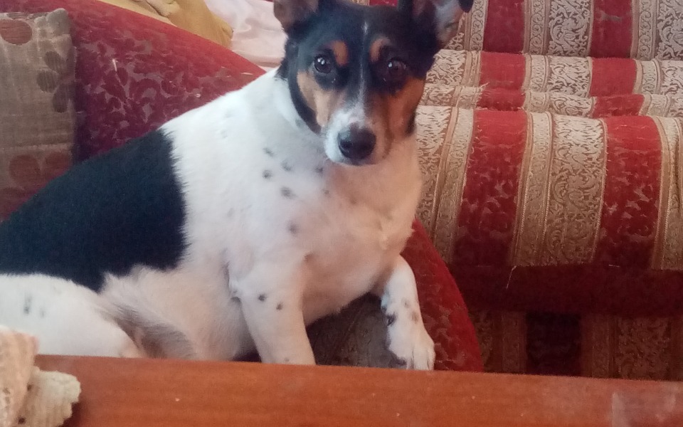 
        Zbiórka Zbieram na zrobienie pokoju - zdjęcie główne
    