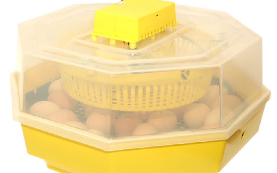 
        Zbiórka inkubator na jajka - zdjęcie główne
    