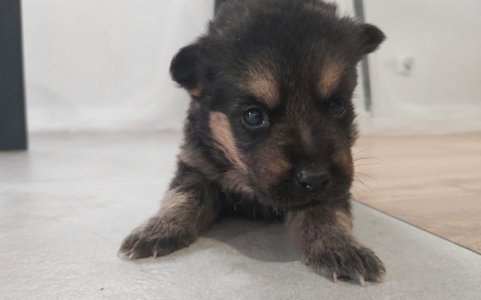 
        Zbiórka Ratujemy SŁABEGO - zdjęcie główne
    